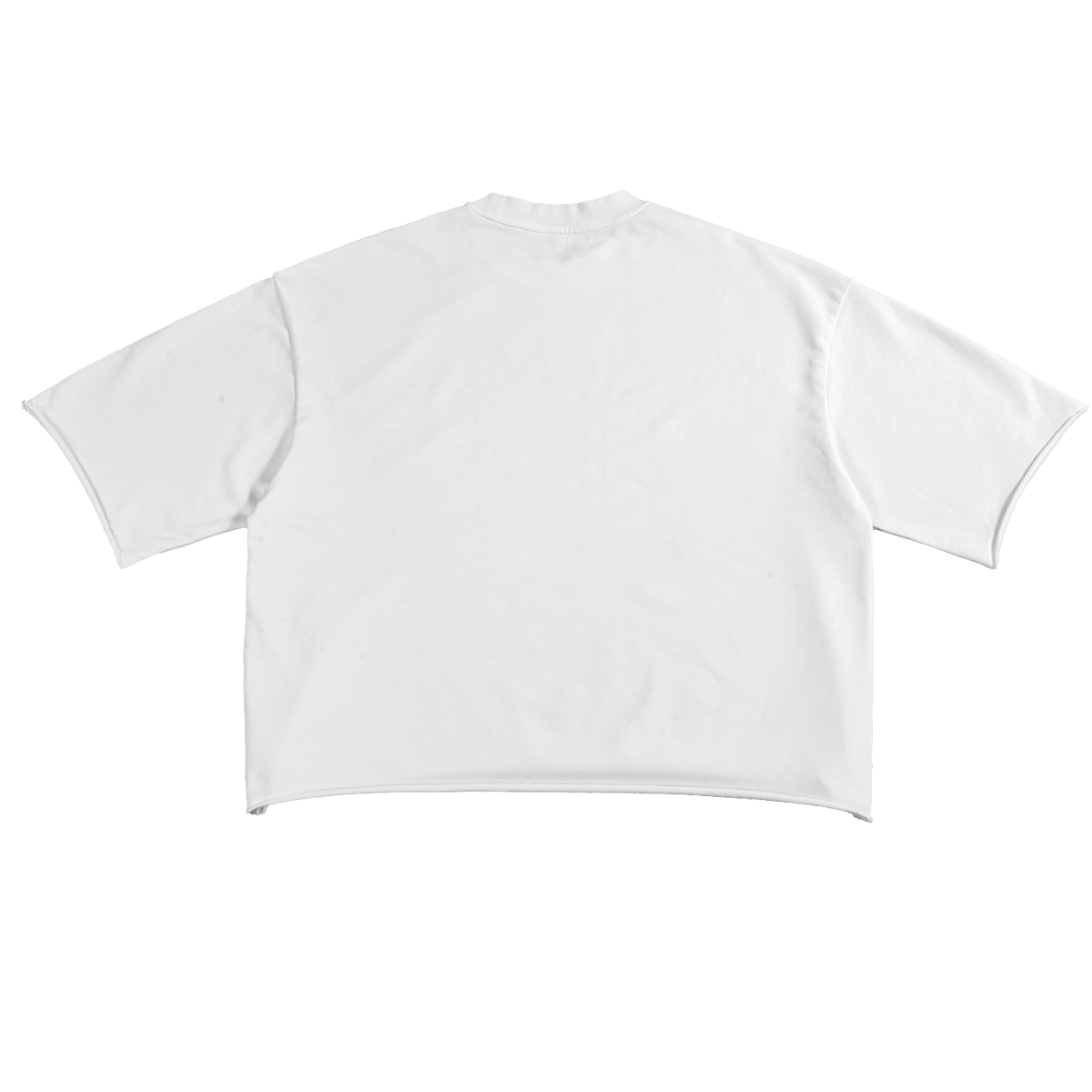 shirt,tee,tshirt,casual,fashion,style,streetwear,unisex